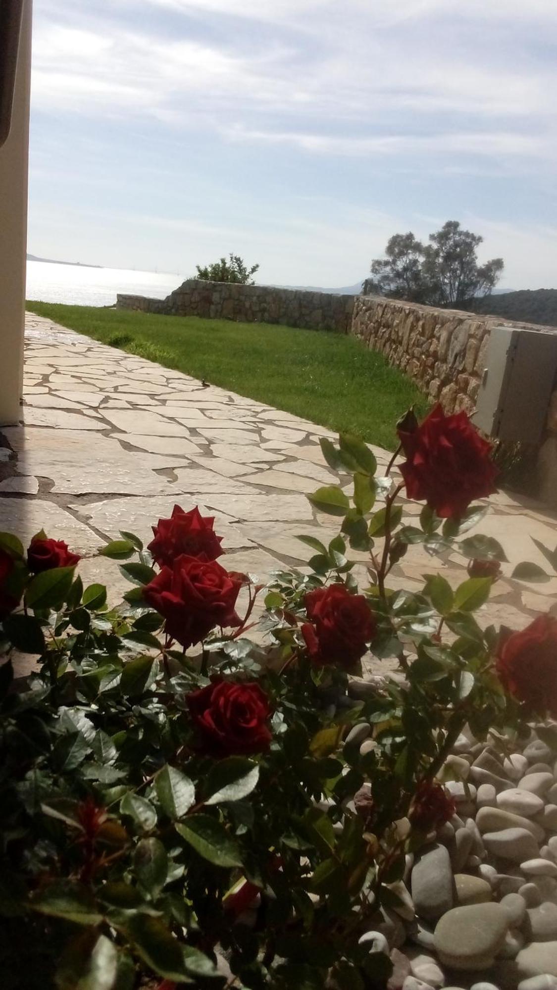 Princess Of Blue Eagles Retreat Skaloma Dış mekan fotoğraf